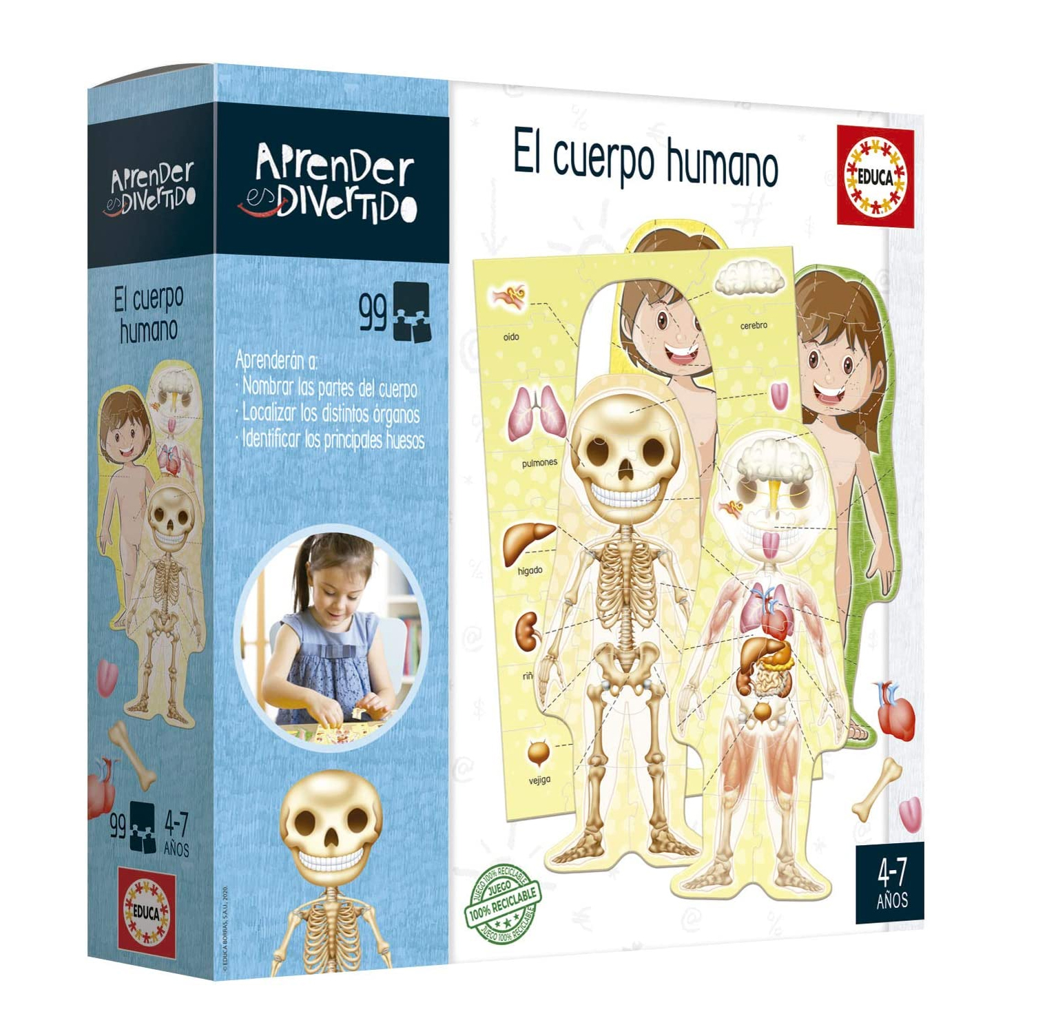 aprender es divertido el cuerpo humano ( educa - 18701)